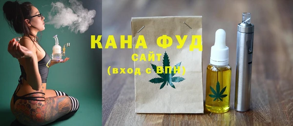 индика Заводоуковск