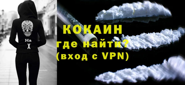 индика Заводоуковск