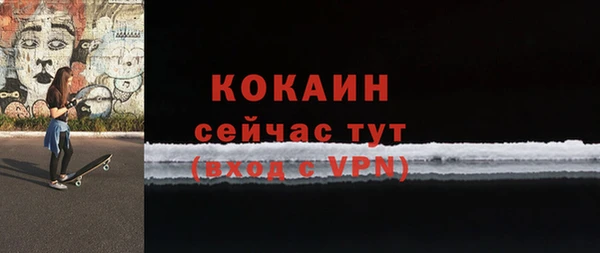 индика Заводоуковск
