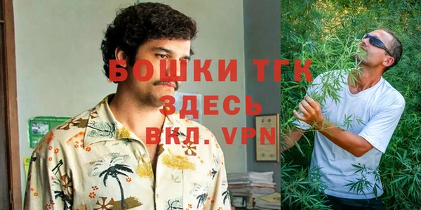 сатива Елабуга