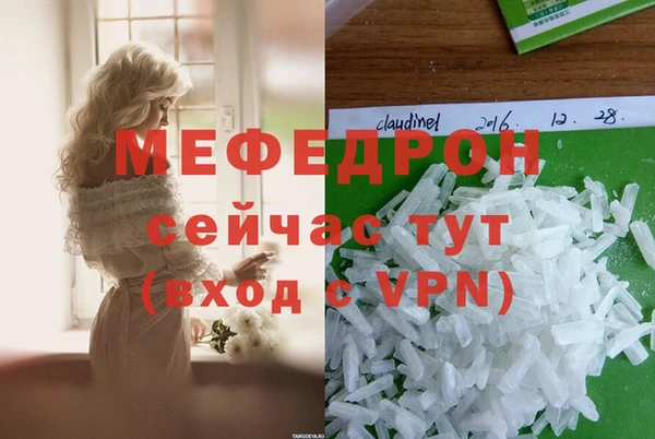 индика Заводоуковск