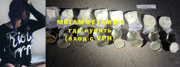 индика Заводоуковск