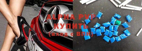 сатива Елабуга