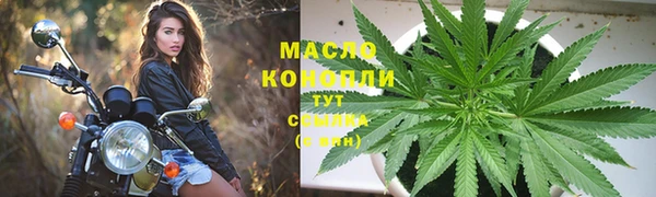 сатива Елабуга
