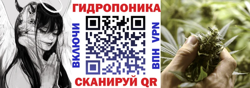 Купить закладки  Исилькуль  Бошки марихуана AK-47 